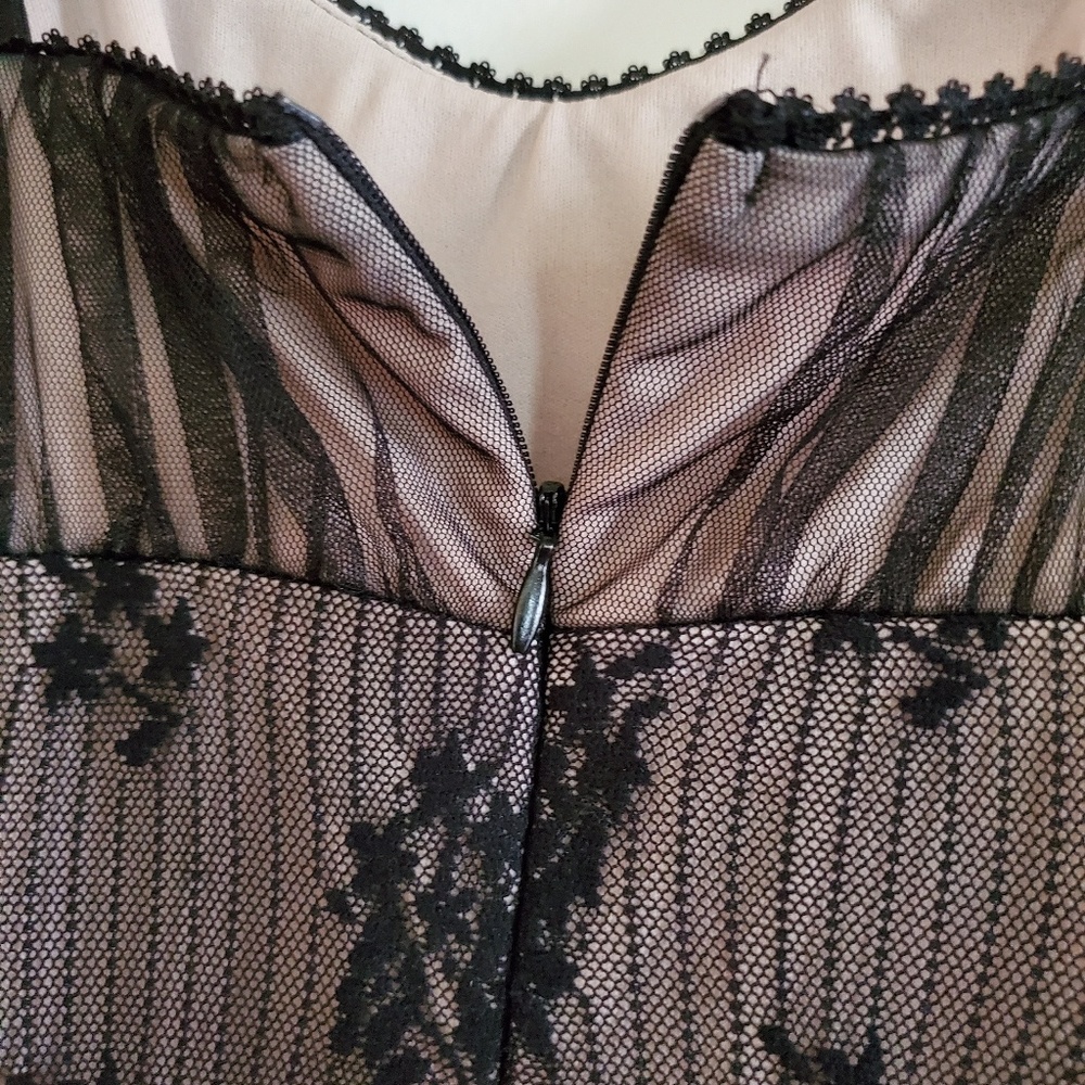 *Donated* Lace & Nude Dress - Picture 5 of 8